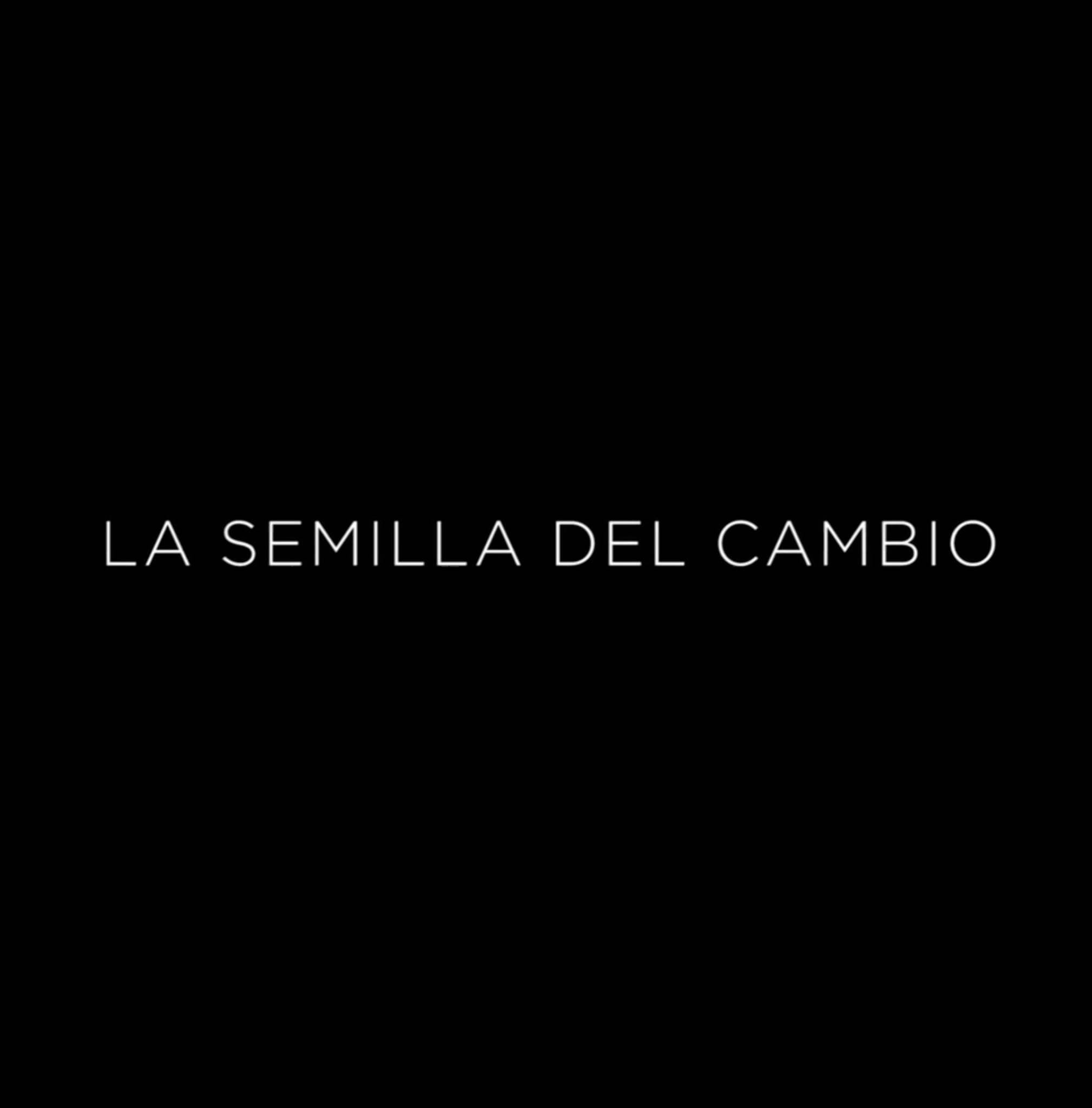 Captura de Pantalla 2020-04-24 a les 11.15.58 La Semilla del Cambio
