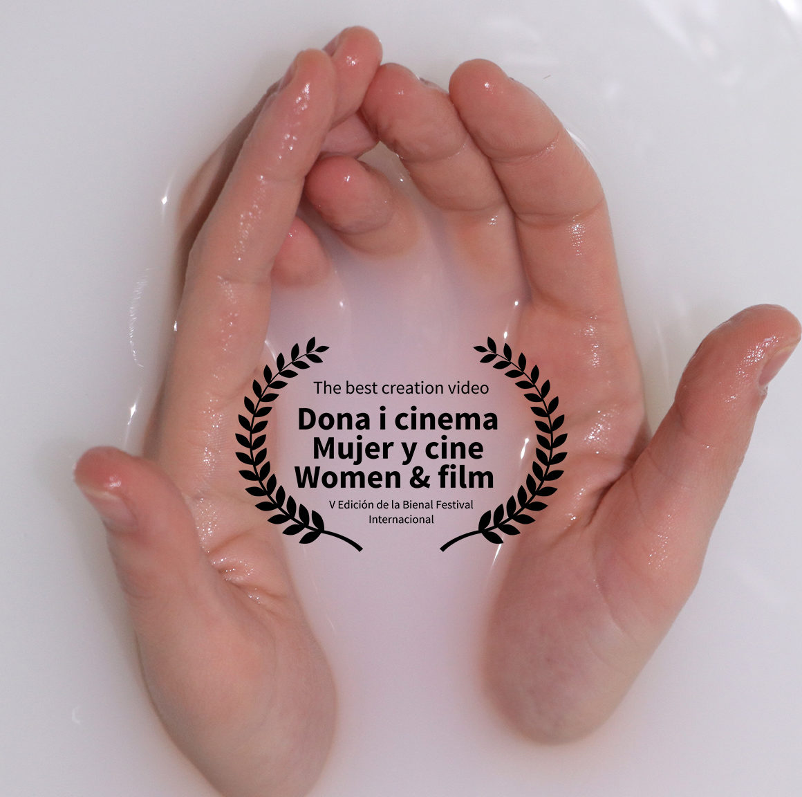 Premi a la millor Videocreació - Biennal Dona i Cinema