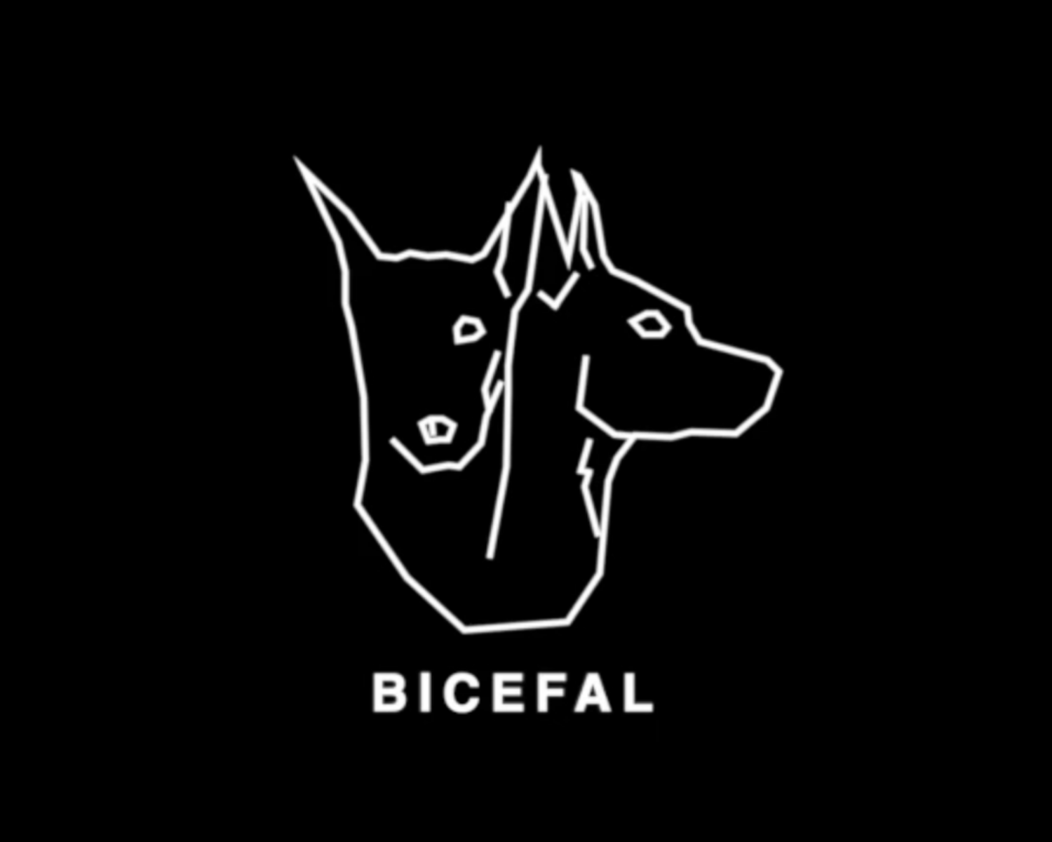 Bicefal Project