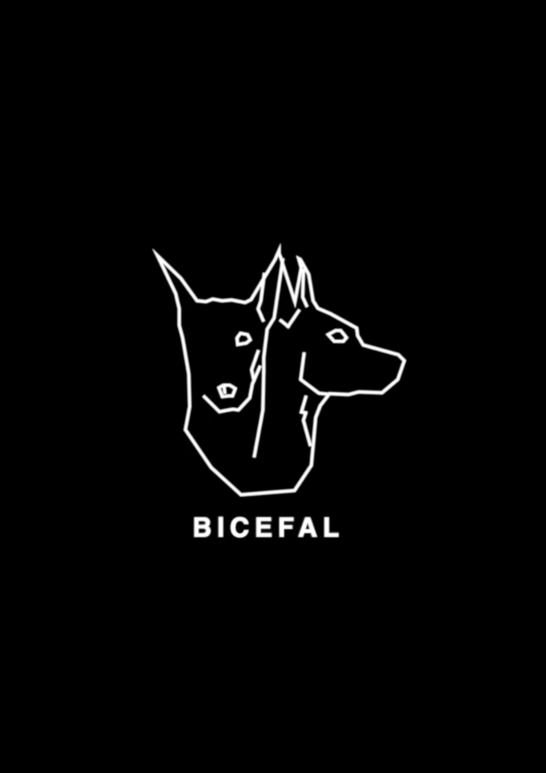 Captura de Pantalla 2020-04-21 a les 13.54.44 Bicefal Project