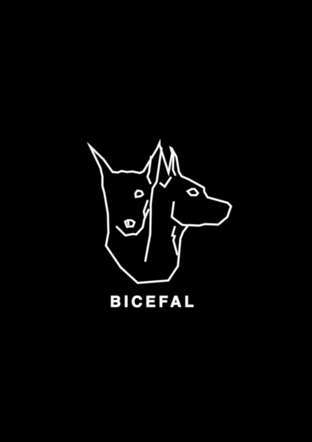 Proyecto Bicefal